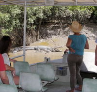 Whitsunday Crocodile Safari - Kawana Tourism