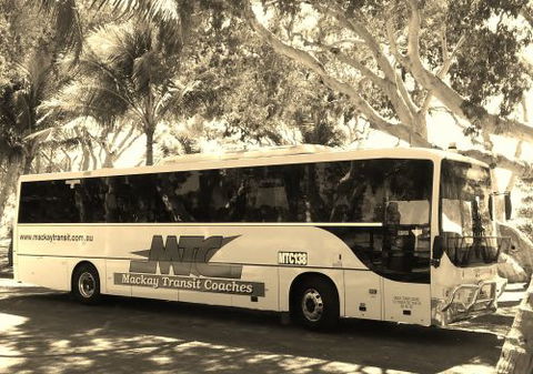 Mackay Transit Coaches - Kawana Tourism 0