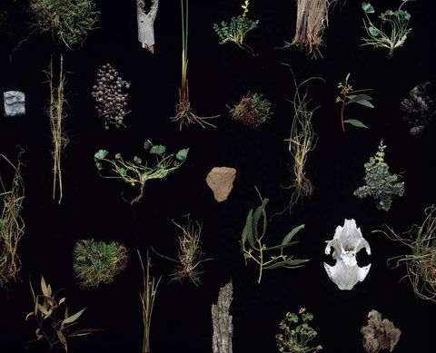 Weswal Gallery - Kawana Tourism 0