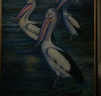 Charlie Moore - Kawana Tourism