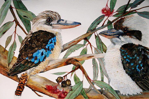 Two Birds Gallery - Kawana Tourism 3