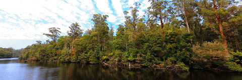 A R Reflections River Cruises - Kawana Tourism 0