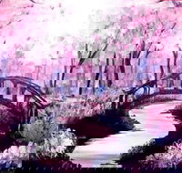 Pink Forest - Boardwalk Bar 4.00-6.00pm - Kawana Tourism