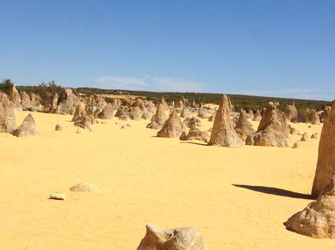 Pinnacles Desert, Koalas And Sandboarding 4WD Day Tour From Perth - Kawana Tourism 15