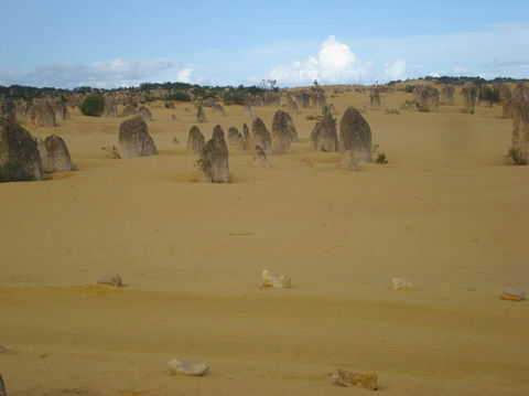 Pinnacles Desert, Koalas And Sandboarding 4WD Day Tour From Perth - Kawana Tourism 23