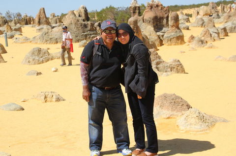 Pinnacles Desert, Koalas And Sandboarding 4WD Day Tour From Perth - Kawana Tourism 12