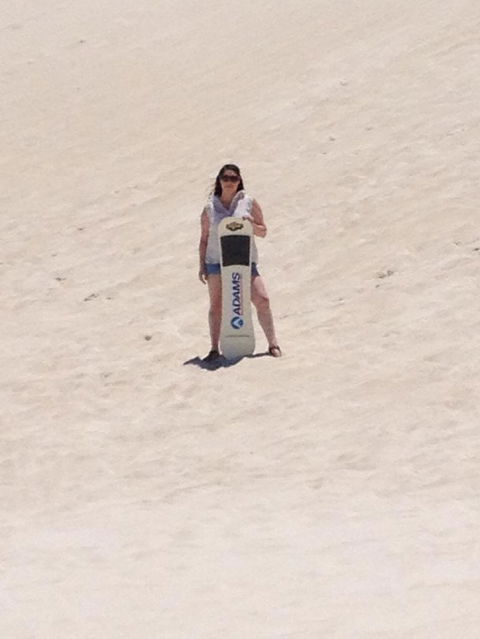 Pinnacles Desert, Koalas And Sandboarding 4WD Day Tour From Perth - Kawana Tourism 21