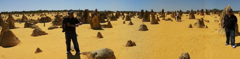 Pinnacles Desert, Koalas And Sandboarding 4WD Day Tour From Perth - Kawana Tourism 11