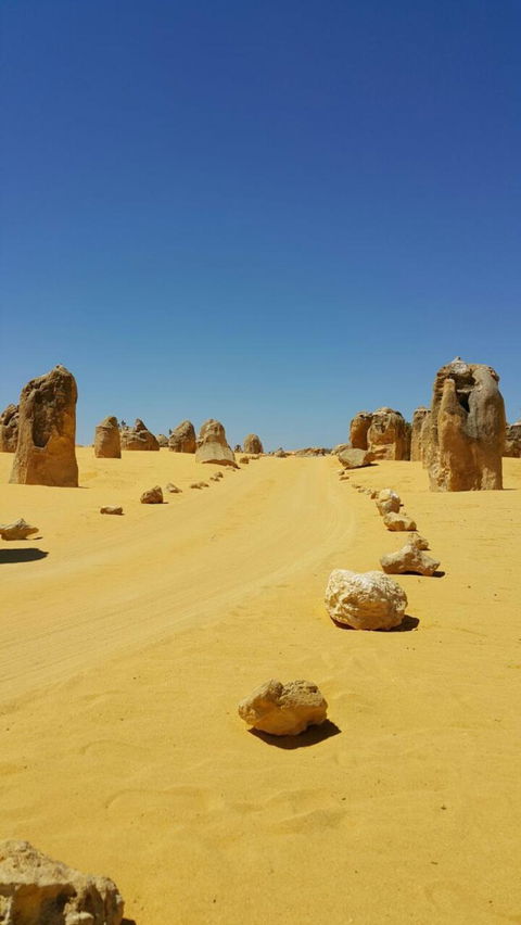 Pinnacles Desert, Koalas And Sandboarding 4WD Day Tour From Perth - Kawana Tourism 3