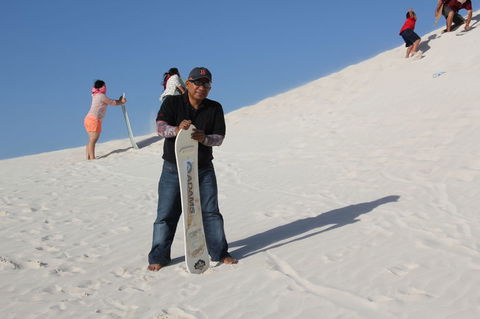 Pinnacles Desert, Koalas And Sandboarding 4WD Day Tour From Perth - Kawana Tourism 9