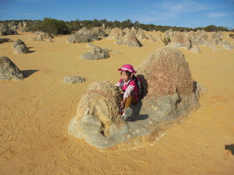 Pinnacles Desert, Koalas And Sandboarding 4WD Day Tour From Perth - Kawana Tourism 7