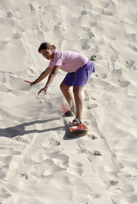 Pinnacles Desert, Koalas And Sandboarding 4WD Day Tour From Perth - Kawana Tourism 24