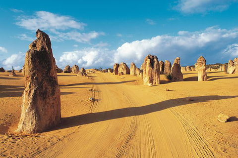Pinnacles Desert, Koalas And Sandboarding 4WD Day Tour From Perth - Kawana Tourism 0