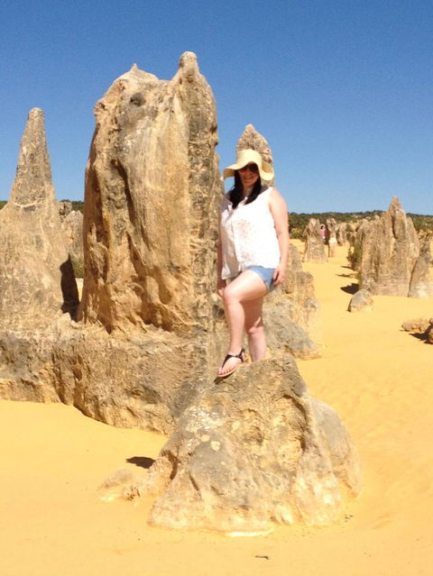 Pinnacles Desert, Koalas And Sandboarding 4WD Day Tour From Perth - Kawana Tourism 16