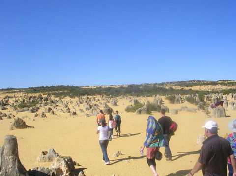 Pinnacles Desert, Koalas And Sandboarding 4WD Day Tour From Perth - Kawana Tourism 25