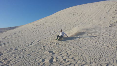 Pinnacles Desert, Koalas And Sandboarding 4WD Day Tour From Perth - Kawana Tourism 14