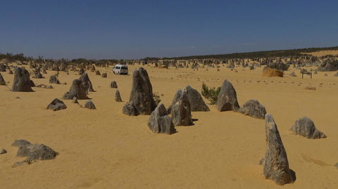 Pinnacles Desert, Koalas And Sandboarding 4WD Day Tour From Perth - Kawana Tourism 4