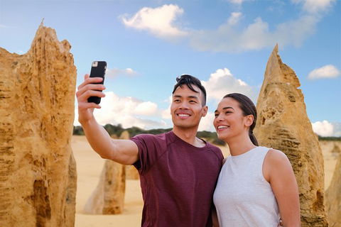 Pinnacles Desert, Koalas And Sandboarding 4WD Day Tour From Perth - Kawana Tourism 27