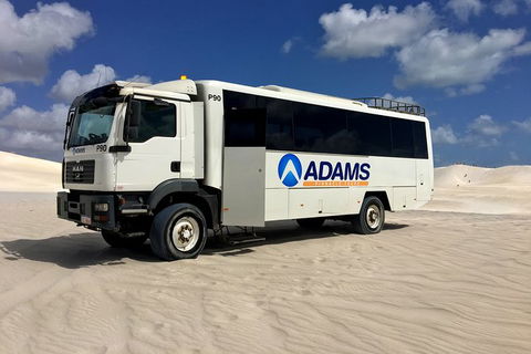 Pinnacles Desert, Koalas And Sandboarding 4WD Day Tour From Perth - Kawana Tourism 28