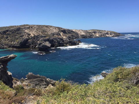 Rottnest Island Tour From Perth Or Fremantle Including Bus Tour - Kawana Tourism 3