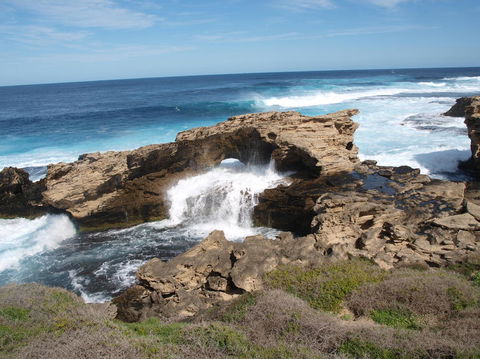 Rottnest Island Tour From Perth Or Fremantle Including Bus Tour - Kawana Tourism 5
