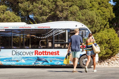 Rottnest Island Tour From Perth Or Fremantle Including Bus Tour - Kawana Tourism 9
