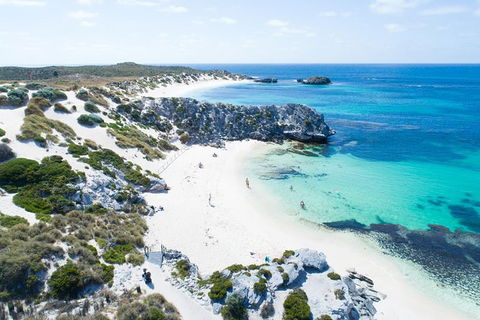 Rottnest Island Tour From Perth Or Fremantle Including Bus Tour - Kawana Tourism 7
