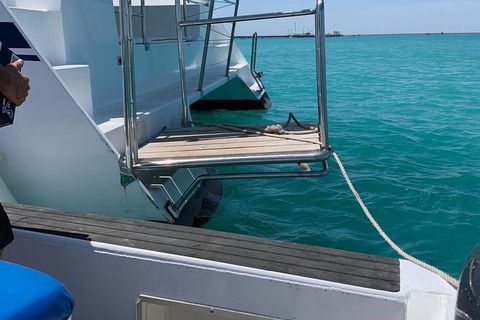 Snubfin Dolphin Eco Cruise From Broome - Kawana Tourism 15
