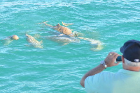 Snubfin Dolphin Eco Cruise From Broome - Kawana Tourism 3
