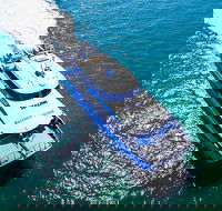 Rottnest Island Roundtrip Ferry from Perth with Transfer - Kawana Tourism