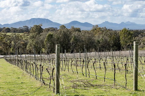 Mt Barker Grape Escape - Kawana Tourism 1