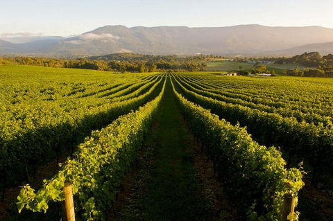 Full-Day Perth, Fremantle, Swan Valley Brewery - Kawana Tourism 1