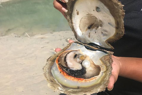 Willie Creek Pearl Farm Tour From Broome - Kawana Tourism 6