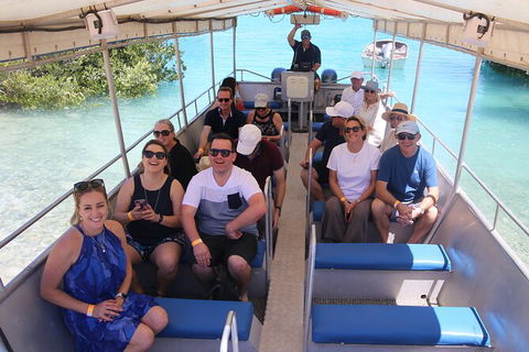 Willie Creek Pearl Farm Tour From Broome - Kawana Tourism 3