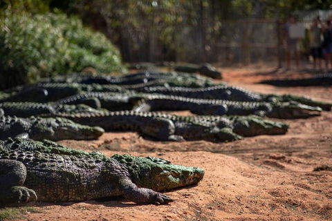 3 In 1 Tour: Matsoâ€™s Brewery, 12 Mile Bird Park & Malcolm Douglas Crocodile Park - Kawana Tourism 6