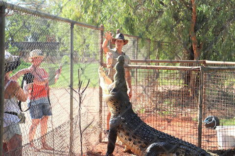 3 In 1 Tour: Matsoâ€™s Brewery, 12 Mile Bird Park & Malcolm Douglas Crocodile Park - Kawana Tourism 15