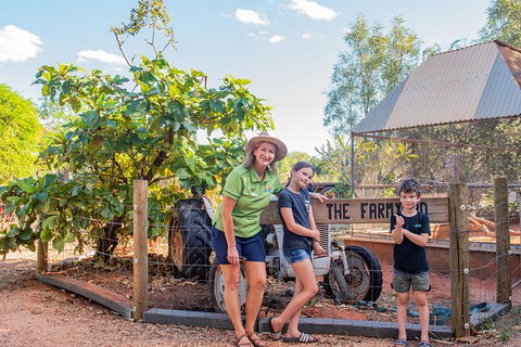 3 In 1 Tour: Matsoâ€™s Brewery, 12 Mile Bird Park & Malcolm Douglas Crocodile Park - Kawana Tourism 10