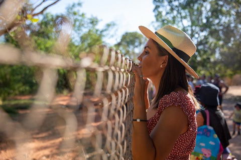 3 In 1 Tour: Matsoâ€™s Brewery, 12 Mile Bird Park & Malcolm Douglas Crocodile Park - Kawana Tourism 12