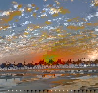 Broome City Sightseeing Tour with Optional Camel Ride - Kawana Tourism