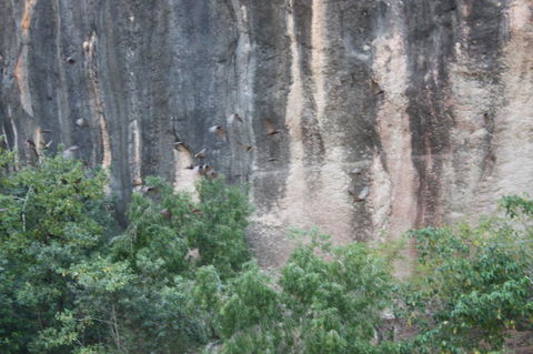Windjana Gorge And Tunnel Creek 4WD Tour From Broome - Kawana Tourism 2