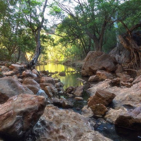 Windjana Gorge And Tunnel Creek 4WD Tour From Broome - Kawana Tourism 9