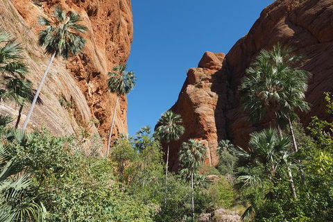 13-Day Kimberley Walking Tour Including Spectacular Gorges The Gibb River Road And The Bungle Bungles - Kawana Tourism 6