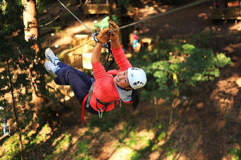 Trees Adventure Lane Poole Park - Treetop & Zipline Experience - Kawana Tourism 0