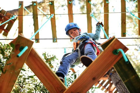Trees Adventure Lane Poole Park - Treetop & Zipline Experience - Kawana Tourism 1