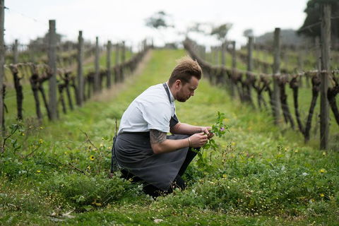 Vasse Felix Epicurean Tour And Tasting Experience With 5 Course Lunch - Kawana Tourism 9