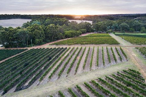 Vasse Felix Epicurean Tour And Tasting Experience With 5 Course Lunch - Kawana Tourism 7