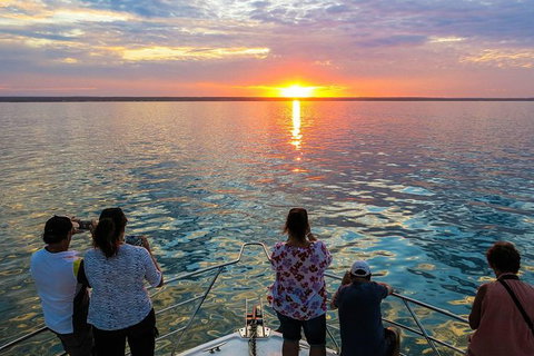 Humpback Whale Sunset Cruise - Kawana Tourism 1