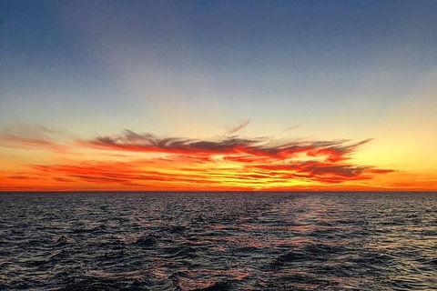 Half-Day Whale Watching Sunset Cruise From Broome - Kawana Tourism 8
