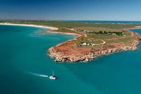 Half-Day Whale Watching Sunset Cruise From Broome - Kawana Tourism 10
