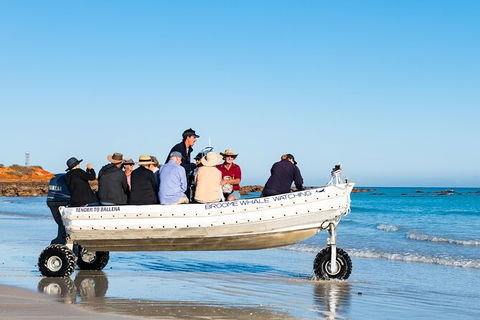 Half-Day Whale Watching Sunset Cruise From Broome - Kawana Tourism 11